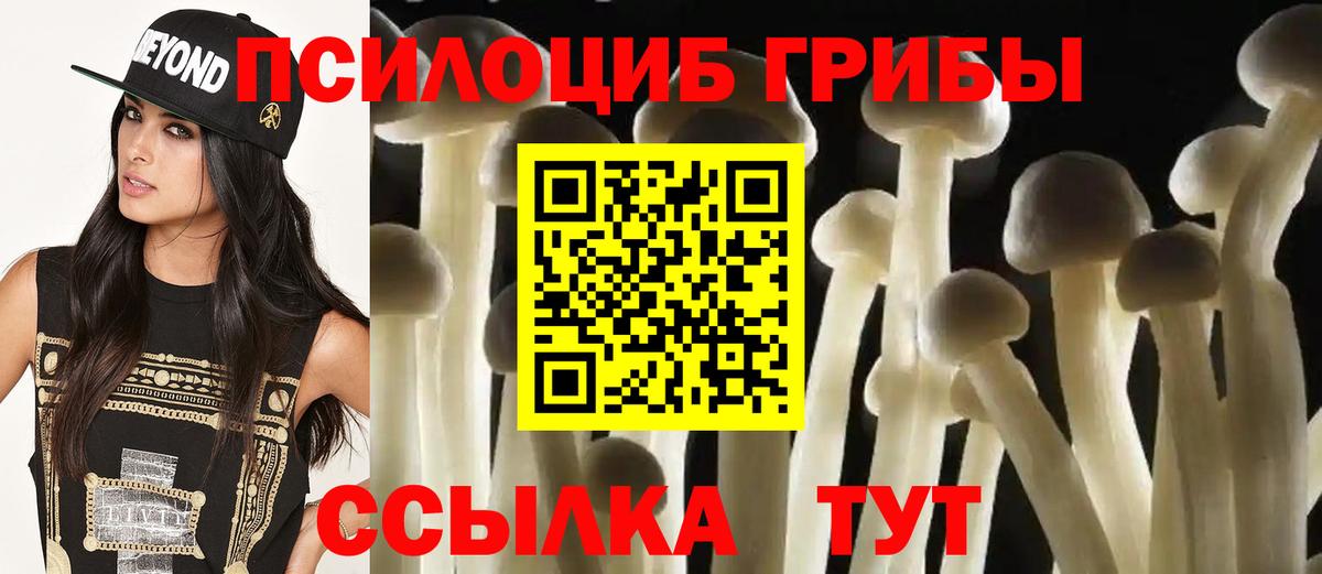 Псилоцибиновые грибы мухоморы Краснотурьинск